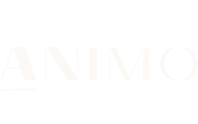 Animo Studious provider logo