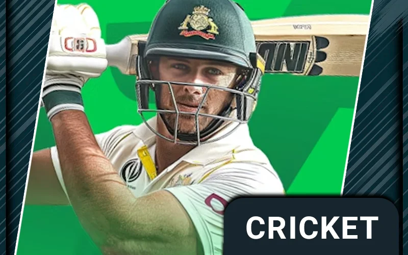 Cricket section illustration