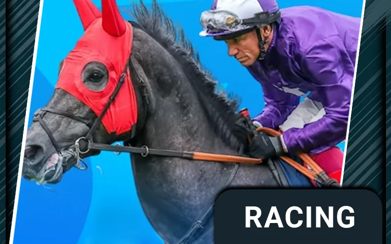 Horse racing category illustration