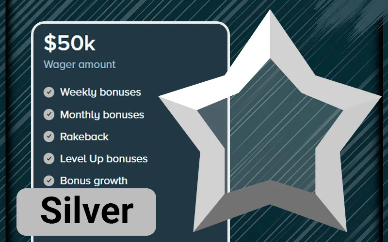 Stake Silver VIP tier badge