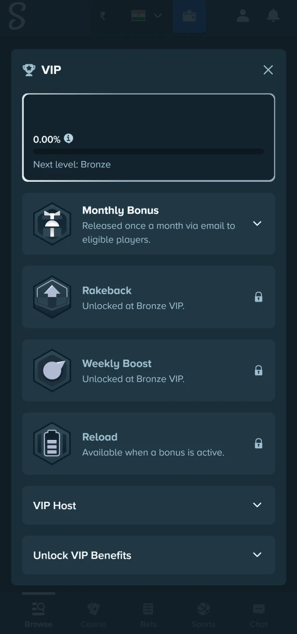 Stake game interface used to explain VIP activity