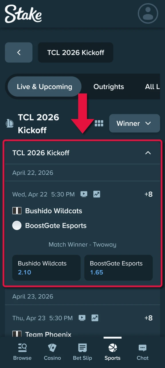 Stake mobile esports bet slip example