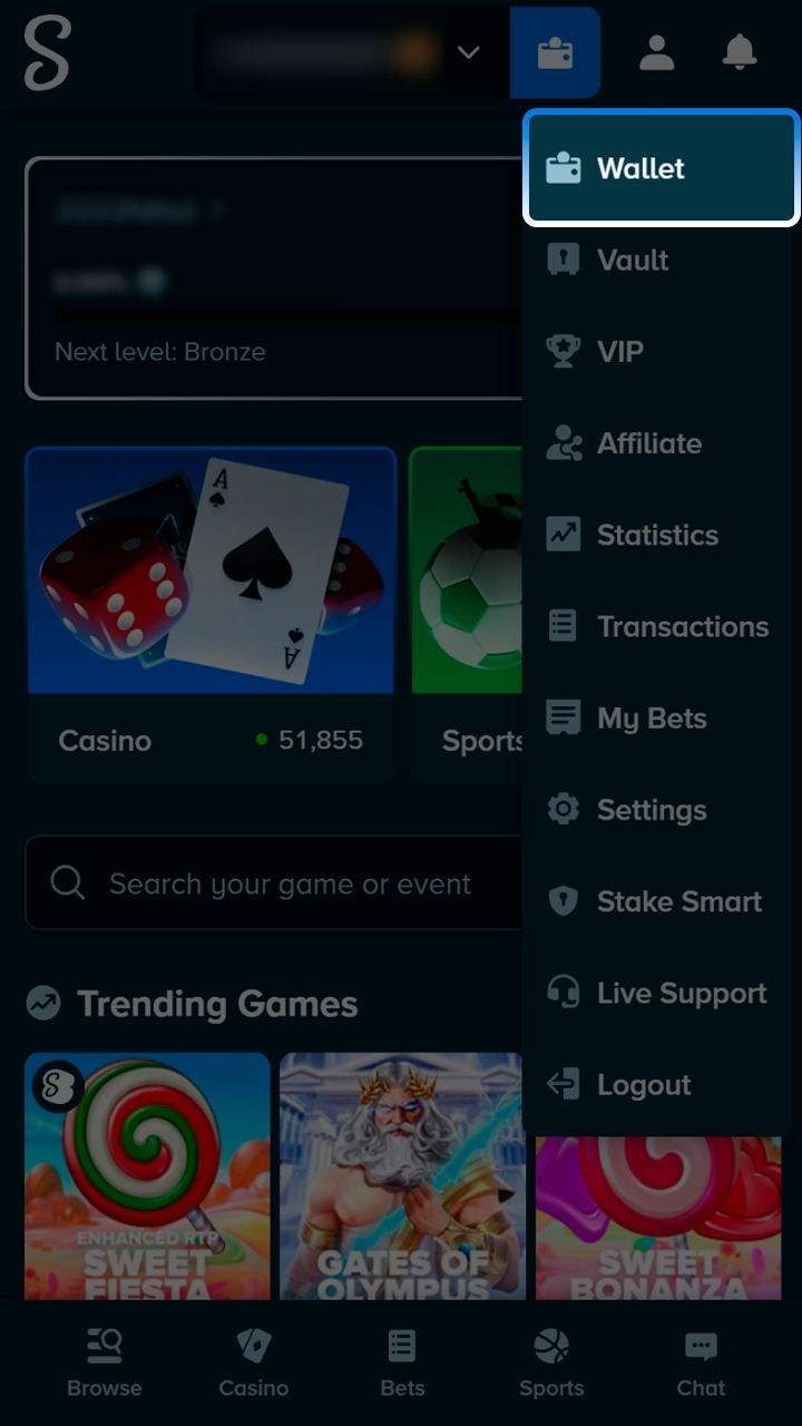 Stake cashier screen in the racing guide