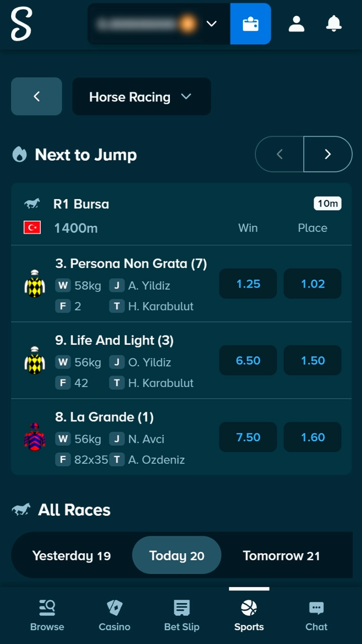 Horse racing event selection on Stake
