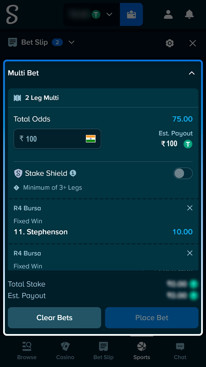 Horse racing selection in the Stake bet slip